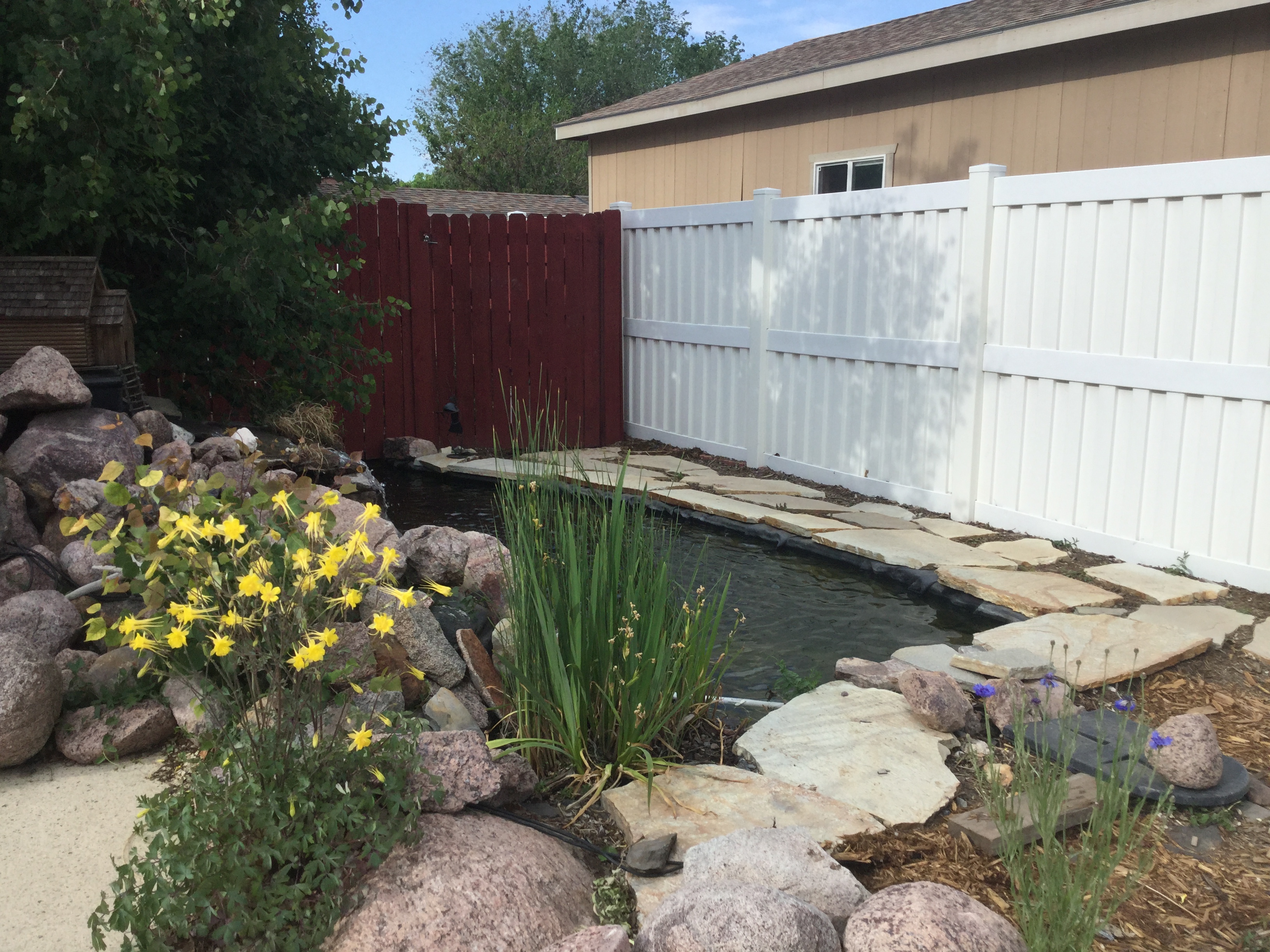 Fish and Plants | Trusty Ponds